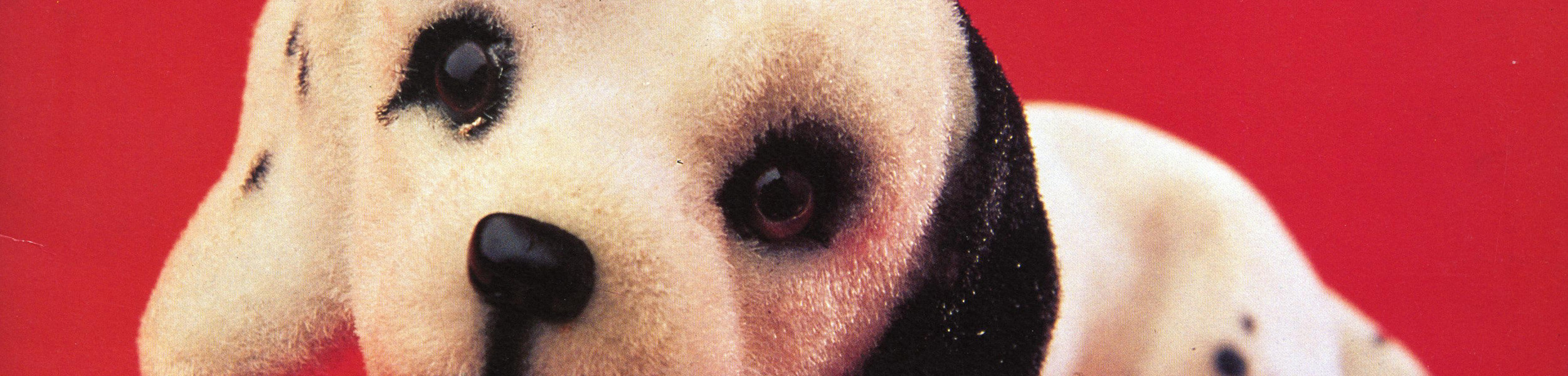 Bettie Serveert - title