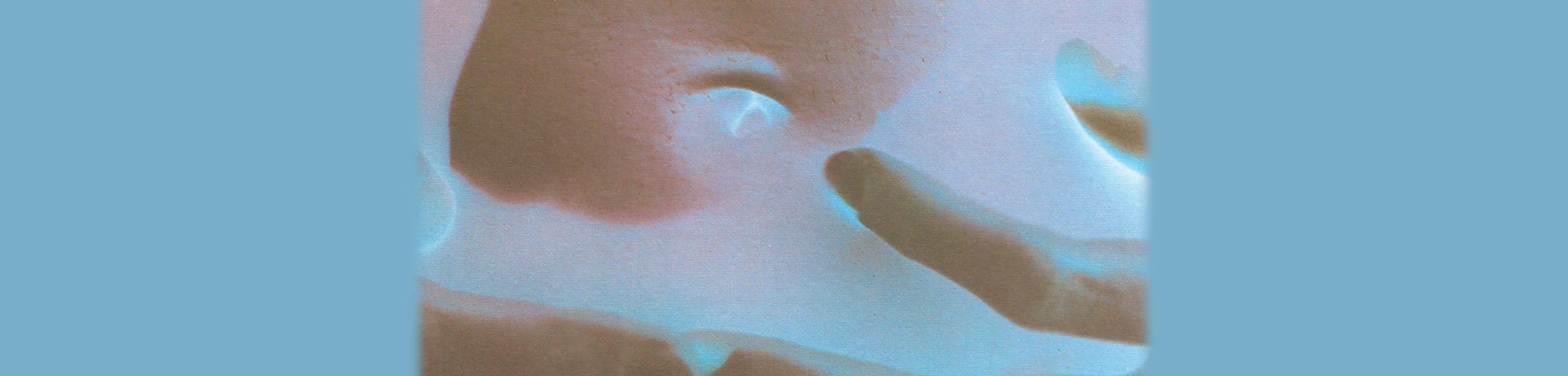 Insides - title